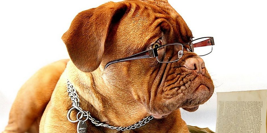 Lernstrategie, Lernen, Erfolg