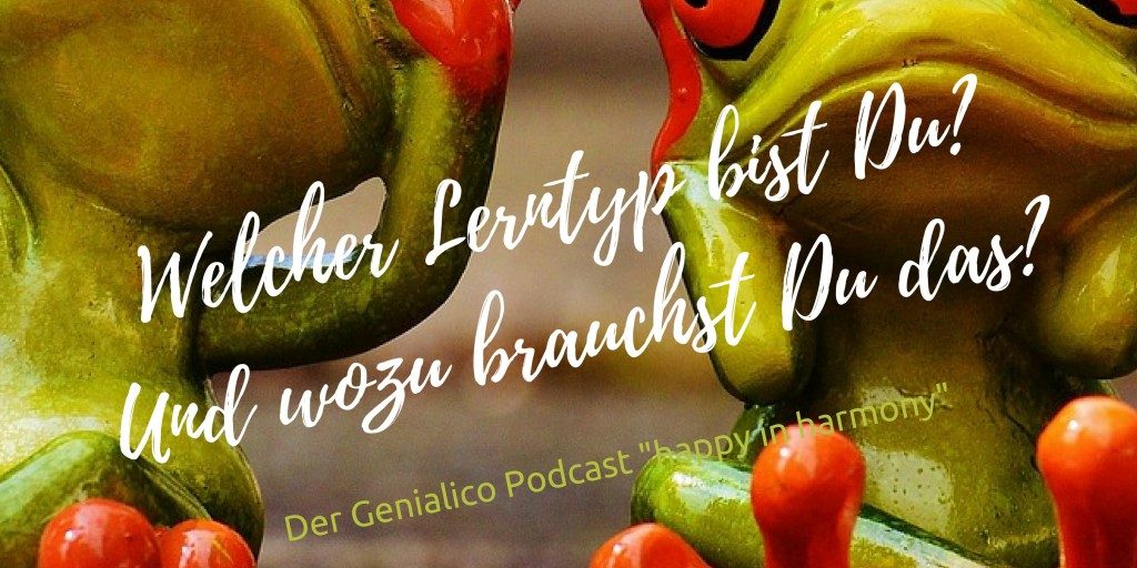 Lerntyp, erkennen
