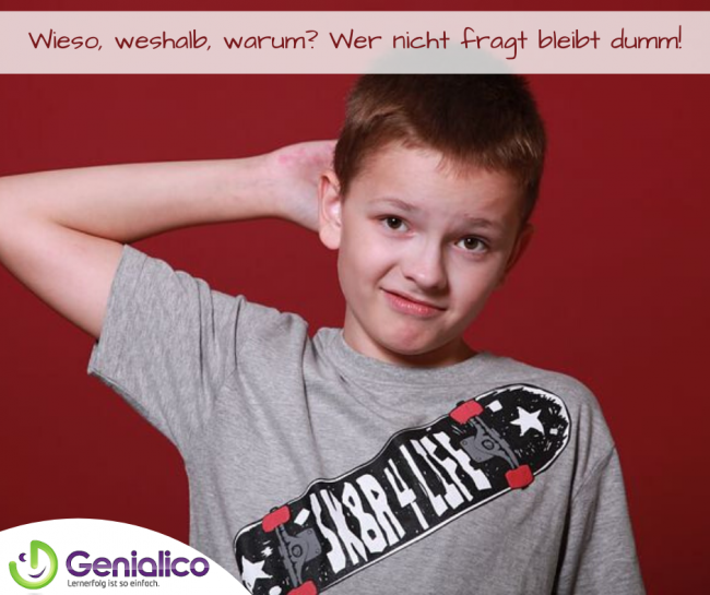 Lernen, Lernstrategien, Schule