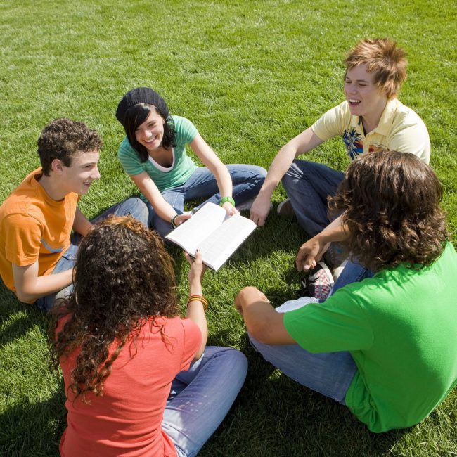Genius, Lernen, Gedächtnistraining, Teens, Jugendliche, Noten, Schule, Homeschooling