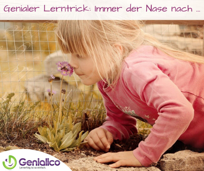 Lernen, Nase, Riechen