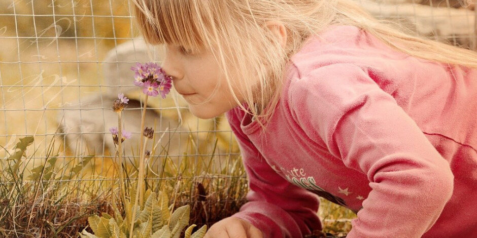 Lernen, Nase, Riechen