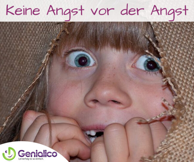 Prüfungsangst, Lernblockade, Blackout