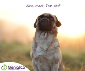 „Nina, mach fein sitz!“