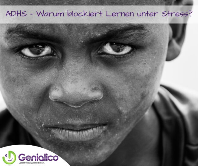 ADHS - Warum blockiert Lernen unter Stress?