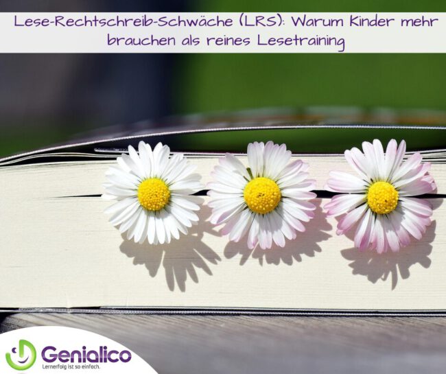 Lese-Rechtschreib-Schwäche (LRS): Warum Kinder mehr brauchen als reines Lesetraining