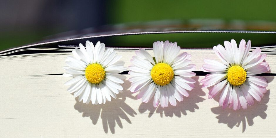 Lese-Rechtschreib-Schwäche (LRS) Warum Kinder mehr brauchen als reines LesetrainingKopie von Tom (14) Geplante Einweisung in die Kinder- und Jugendpsychiatrie – was dann geschah, überraschte alle Lese-Rechtschreib-Schwäche (LRS): Warum Kinder mehr brauchen als reines Lesetraining